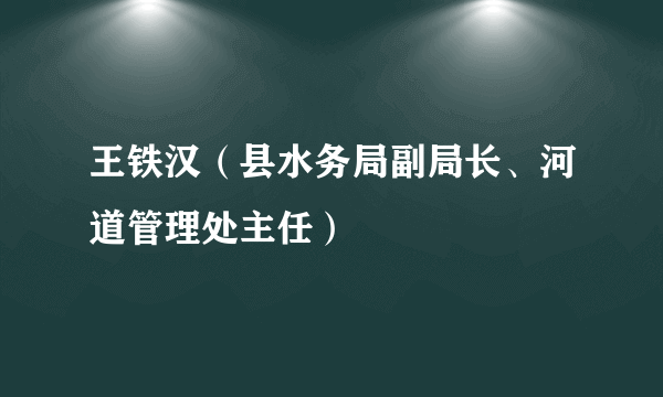 王铁汉（县水务局副局长、河道管理处主任）