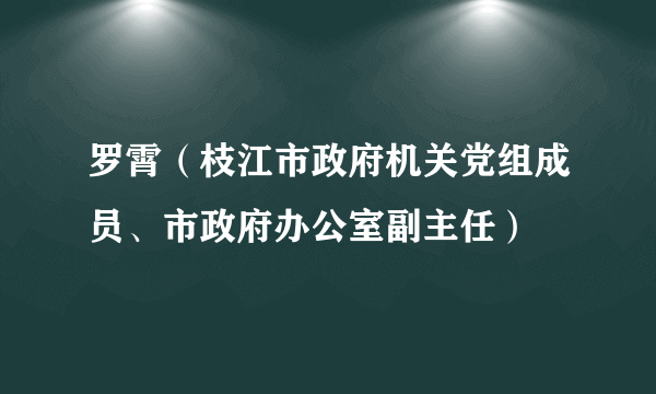 罗霄（枝江市政府机关党组成员、市政府办公室副主任）