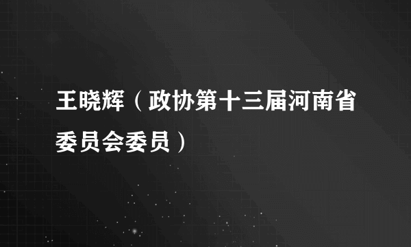 王晓辉（政协第十三届河南省委员会委员）