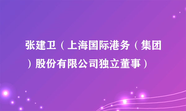 张建卫（上海国际港务（集团）股份有限公司独立董事）