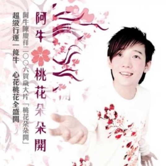 我要为你唱首歌（阿牛演唱的歌曲）