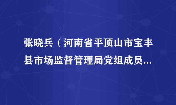 张晓兵（河南省平顶山市宝丰县市场监督管理局党组成员、副局长）