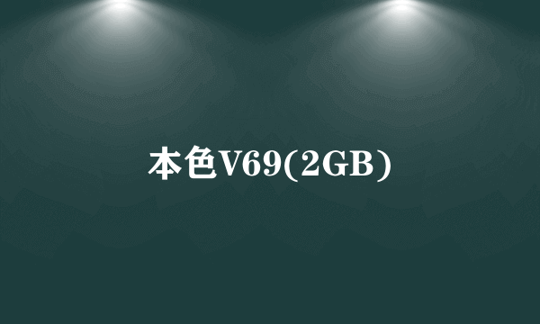 本色V69(2GB)