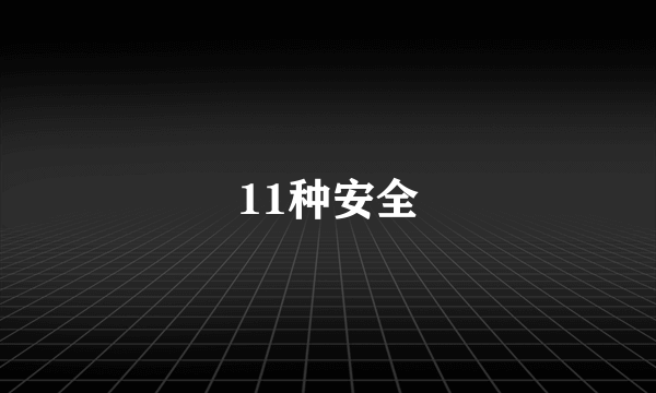 11种安全