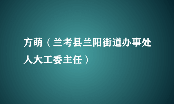 方萌（兰考县兰阳街道办事处人大工委主任）