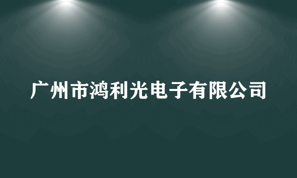 广州市鸿利光电子有限公司