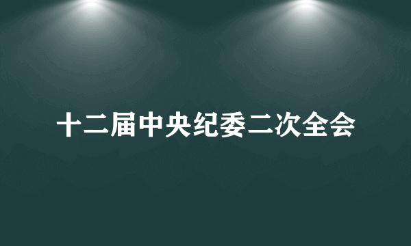 十二届中央纪委二次全会