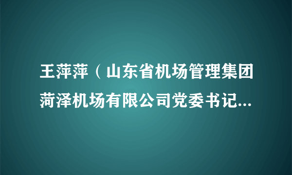 王萍萍（山东省机场管理集团菏泽机场有限公司党委书记、董事长）