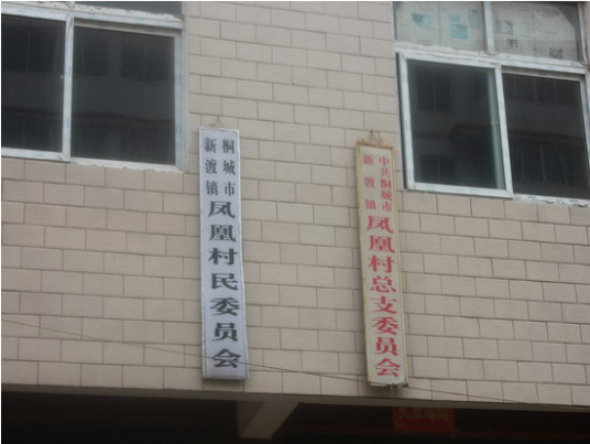 凤凰村（安徽省安庆市桐城市新渡镇下辖村）