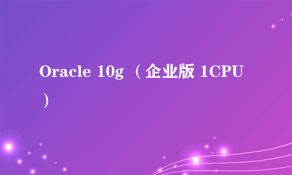 Oracle 10g （企业版 1CPU）