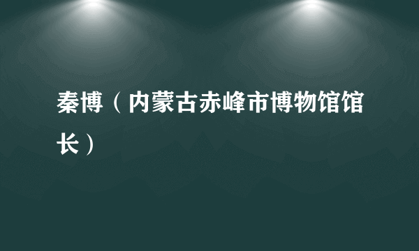 秦博（内蒙古赤峰市博物馆馆长）