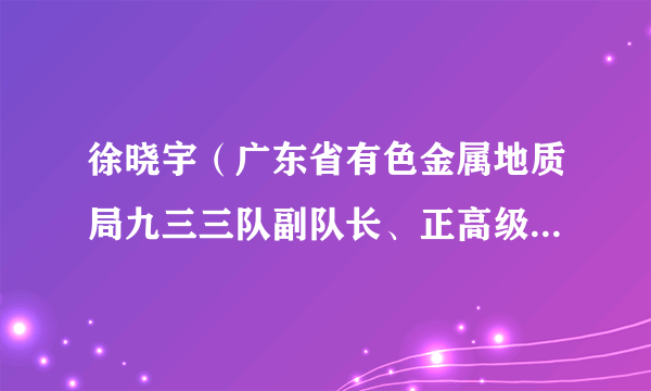 徐晓宇（广东省有色金属地质局九三三队副队长、正高级工程师）