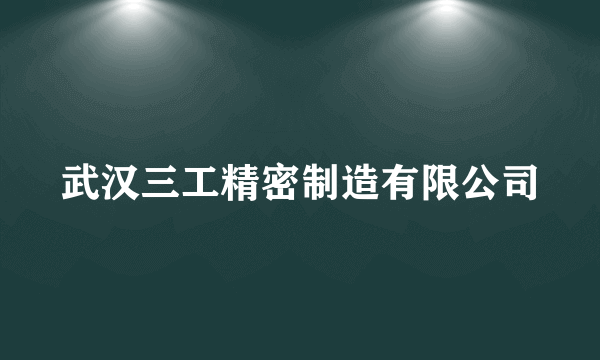 武汉三工精密制造有限公司