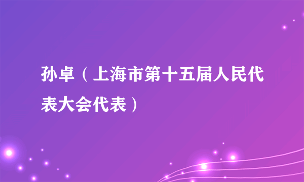 孙卓（上海市第十五届人民代表大会代表）