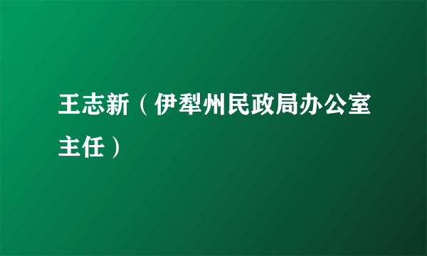 王志新（伊犁州民政局办公室主任）