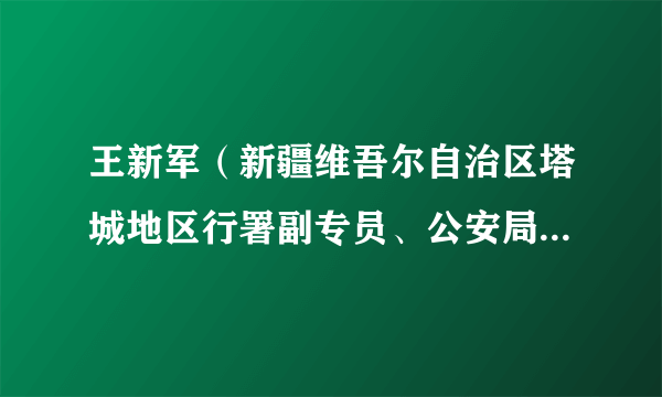 王新军（新疆维吾尔自治区塔城地区行署副专员、公安局局长、督察长）