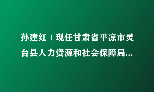 孙建红（现任甘肃省平凉市灵台县人力资源和社会保障局二级主任科员。）