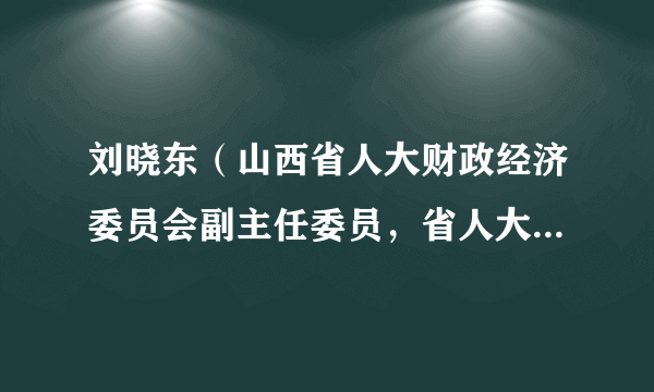 刘晓东（山西省人大财政经济委员会副主任委员，省人大常委会预算工作委员会副主任）