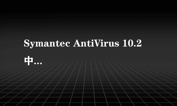 Symantec AntiVirus 10.2 中文产品包(25U)