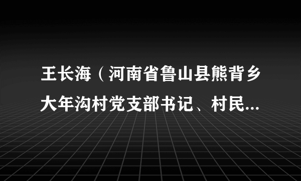 王长海（河南省鲁山县熊背乡大年沟村党支部书记、村民委员会主任）