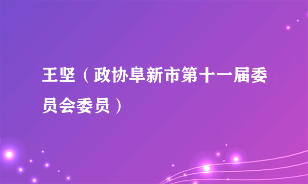 王坚（政协阜新市第十一届委员会委员）