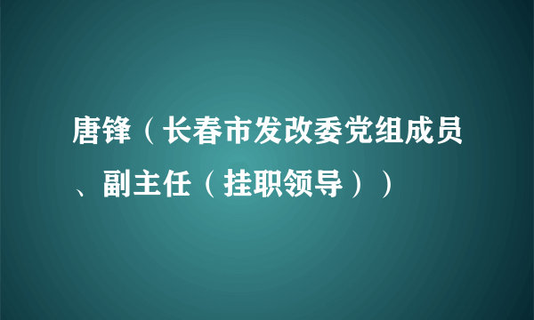 唐锋（长春市发改委党组成员、副主任（挂职领导））