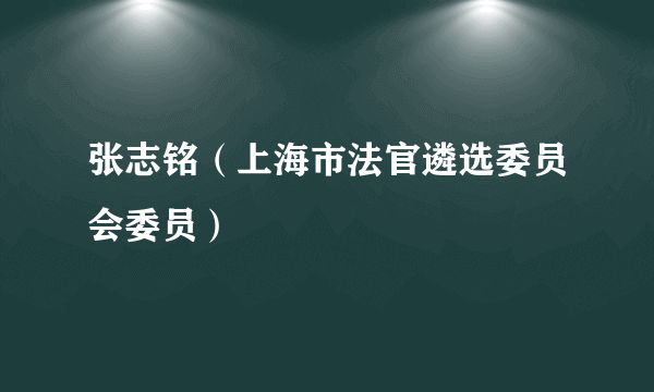 张志铭（上海市法官遴选委员会委员）