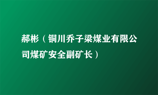 郝彬（铜川乔子梁煤业有限公司煤矿安全副矿长）