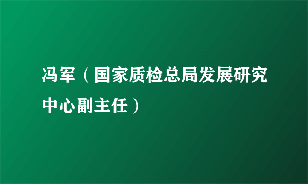 冯军（国家质检总局发展研究中心副主任）