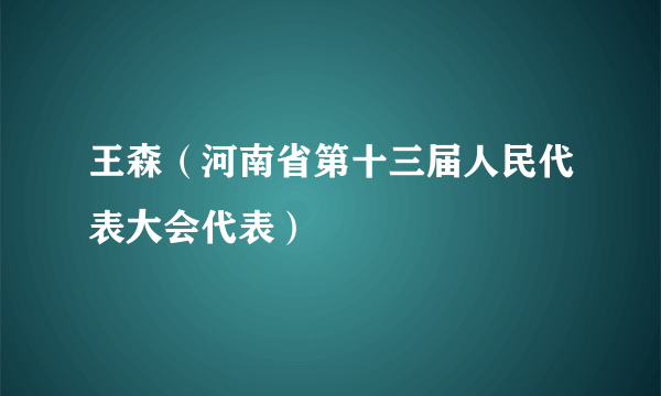 王森（河南省第十三届人民代表大会代表）