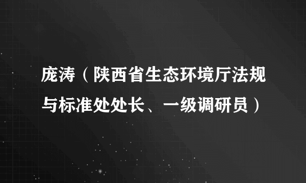 庞涛（陕西省生态环境厅法规与标准处处长、一级调研员）