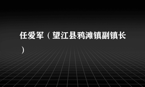 任爱军（望江县鸦滩镇副镇长）