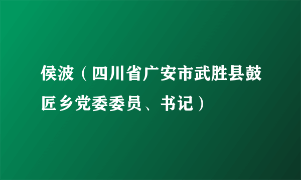 侯波（四川省广安市武胜县鼓匠乡党委委员、书记）