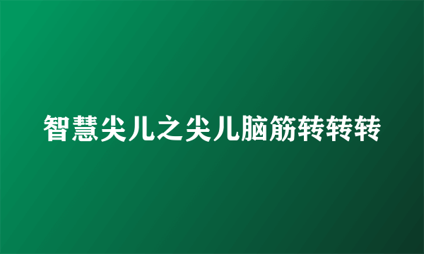 智慧尖儿之尖儿脑筋转转转