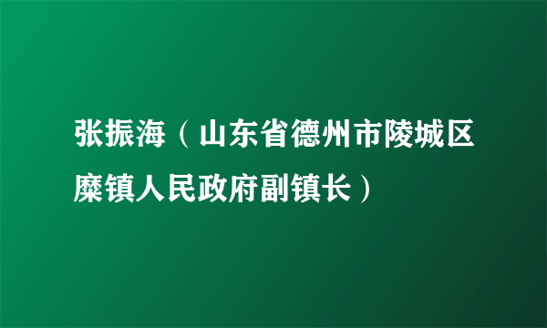 张振海（山东省德州市陵城区糜镇人民政府副镇长）