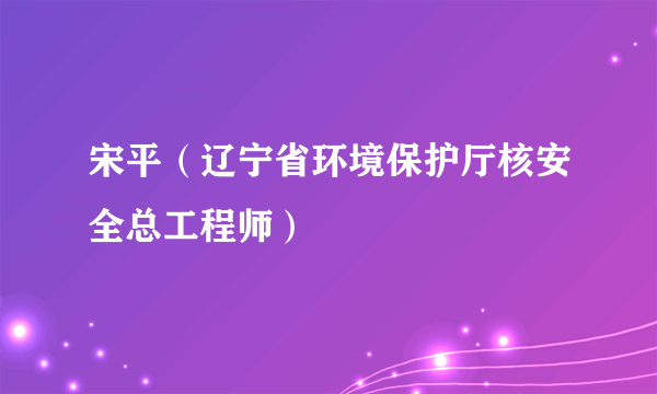 宋平（辽宁省环境保护厅核安全总工程师）