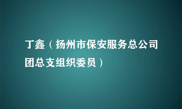 丁鑫（扬州市保安服务总公司团总支组织委员）