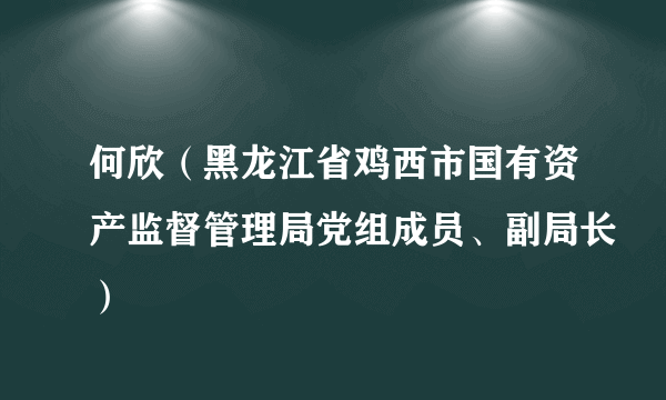 何欣（黑龙江省鸡西市国有资产监督管理局党组成员、副局长）