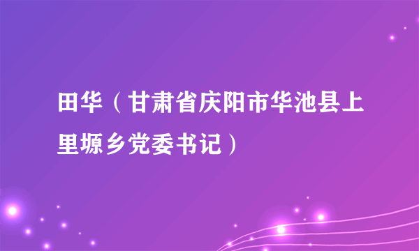 田华（甘肃省庆阳市华池县上里塬乡党委书记）