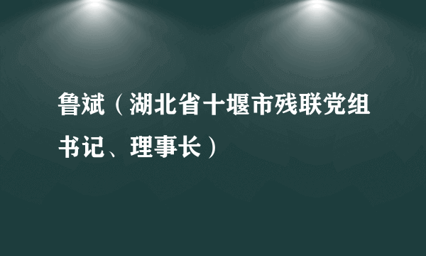 鲁斌（湖北省十堰市残联党组书记、理事长）