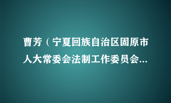 曹芳（宁夏回族自治区固原市人大常委会法制工作委员会原主任）