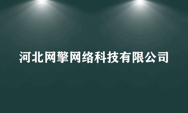 河北网擎网络科技有限公司