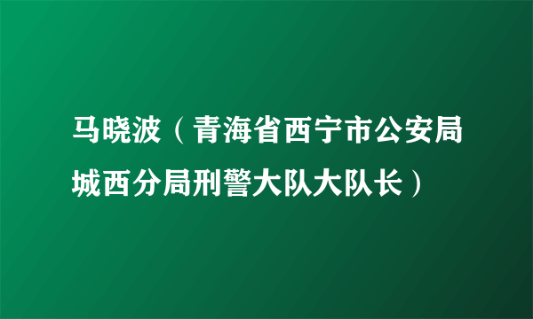 马晓波（青海省西宁市公安局城西分局刑警大队大队长）