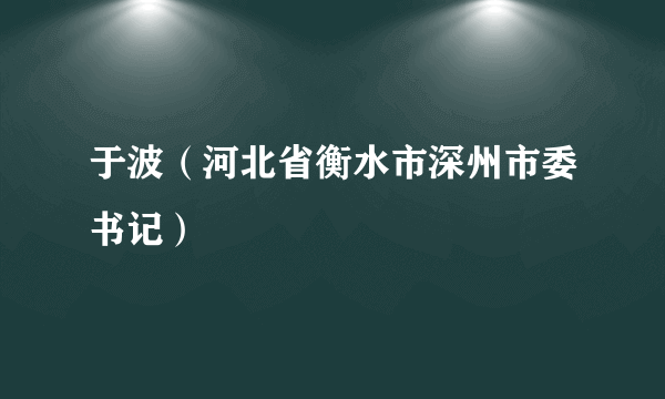 于波（河北省衡水市深州市委书记）