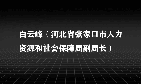 白云峰（河北省张家口市人力资源和社会保障局副局长）