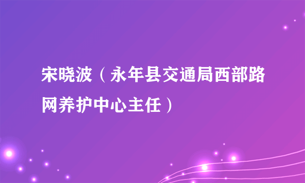 宋晓波（永年县交通局西部路网养护中心主任）