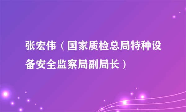 张宏伟（国家质检总局特种设备安全监察局副局长）