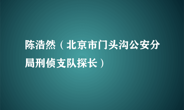 陈浩然（北京市门头沟公安分局刑侦支队探长）