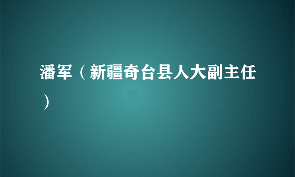 潘军（新疆奇台县人大副主任）