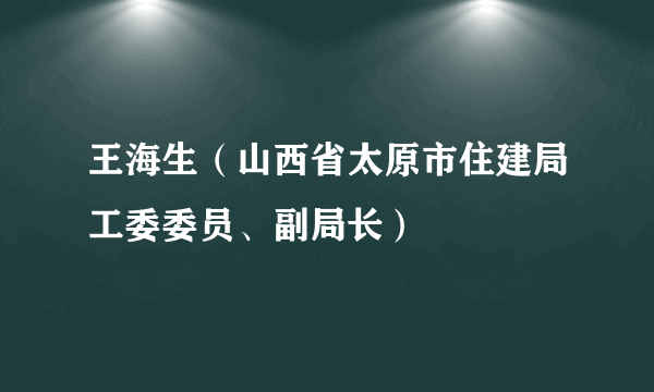 王海生（山西省太原市住建局工委委员、副局长）